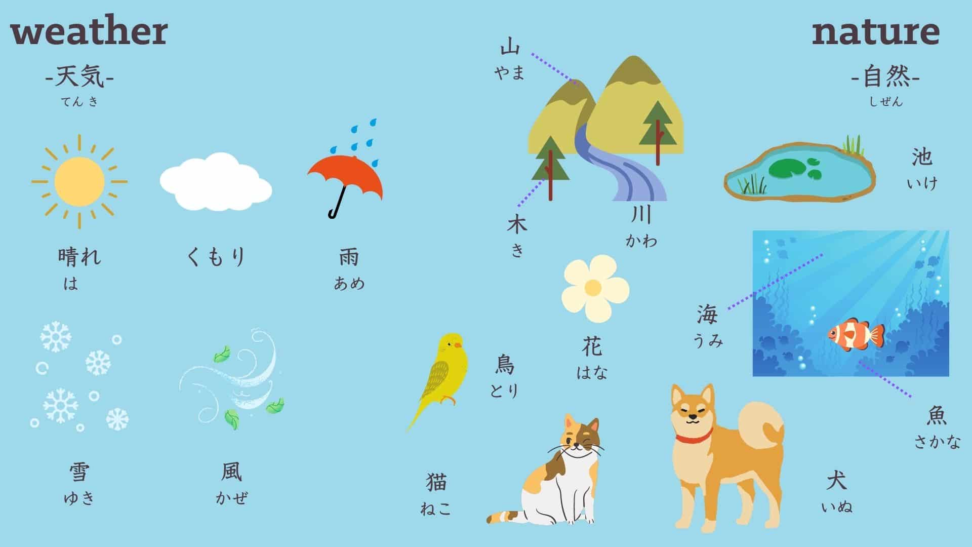 basic-japanese-vocabulary-9-2-nature